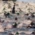 Czy każdy może zostać triathlonistą? Śladami Karasia i Vargi